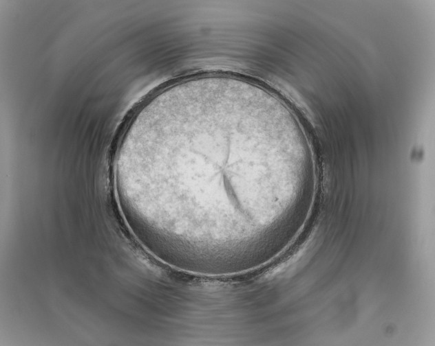 X0000090630782200708141433