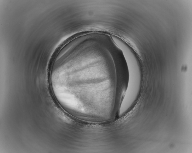 X0000090630784200708141433