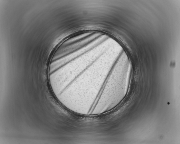 X0000090630786200708141433