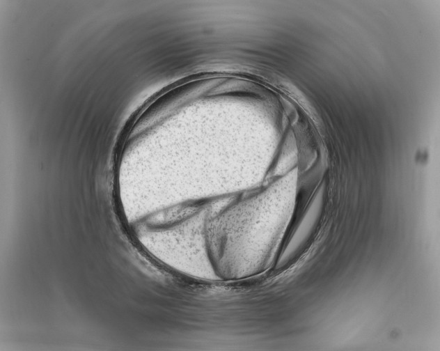 X0000090630787200708141433