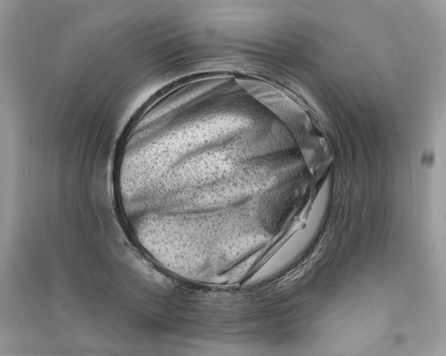 X0000090630788200708141433