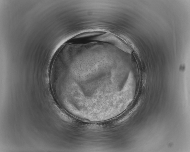 X0000090630789200708141433