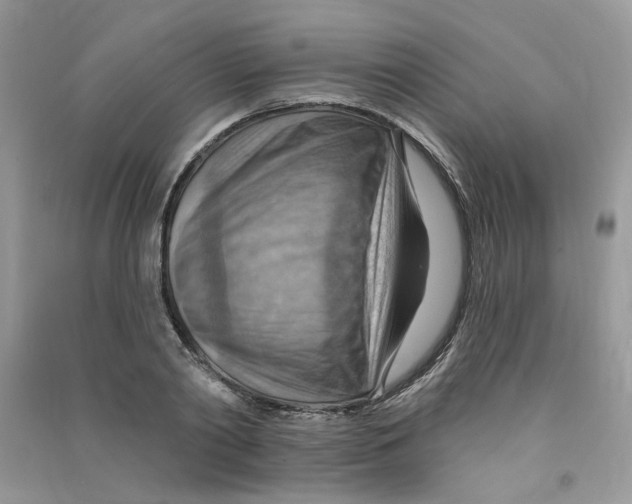 X0000090630790200708141433