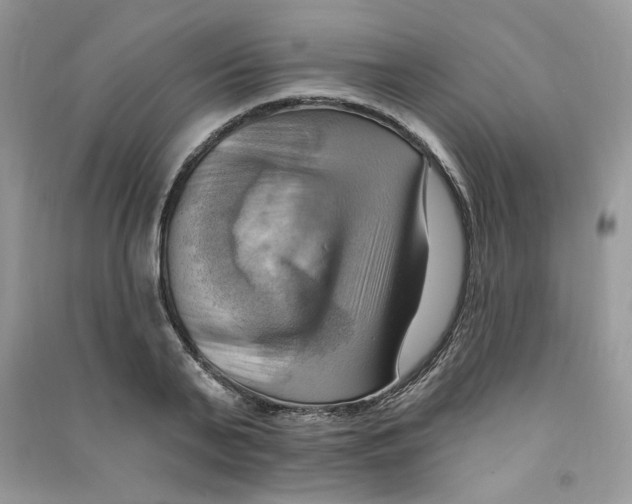 X0000090630791200708141433