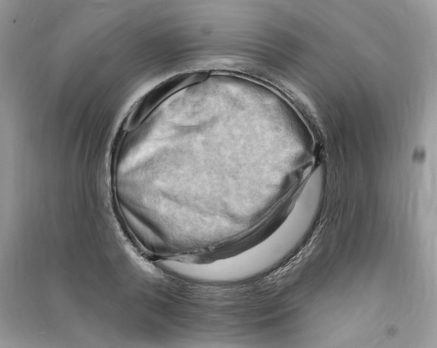 X0000090630792200708141433