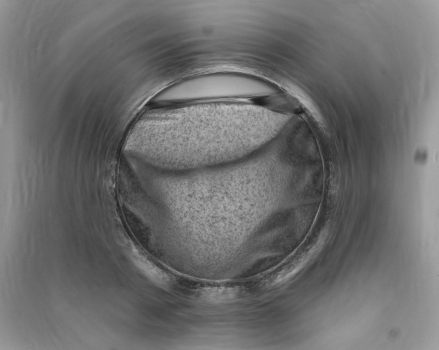 X0000090630793200708141433
