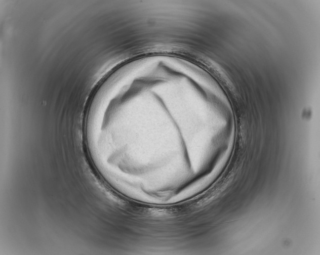X0000090630794200708141433