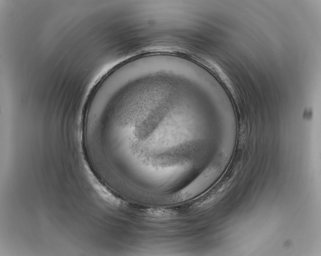 X0000090630795200708141433