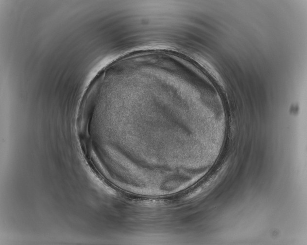 X0000090630797200708141433