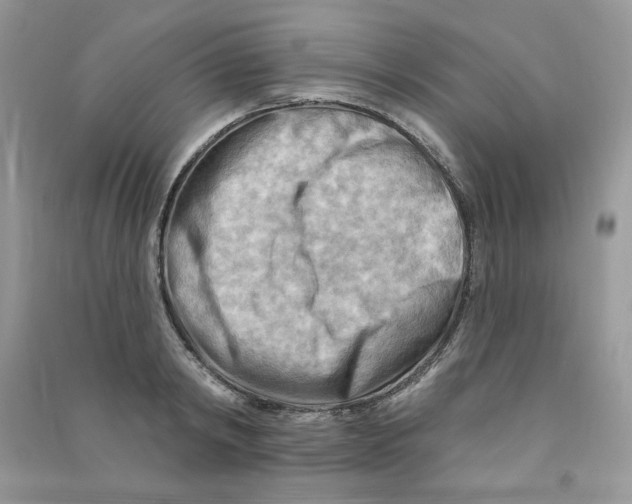 X0000090630798200708141433
