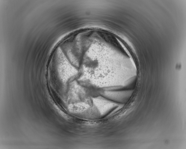 X0000090630799200708141433