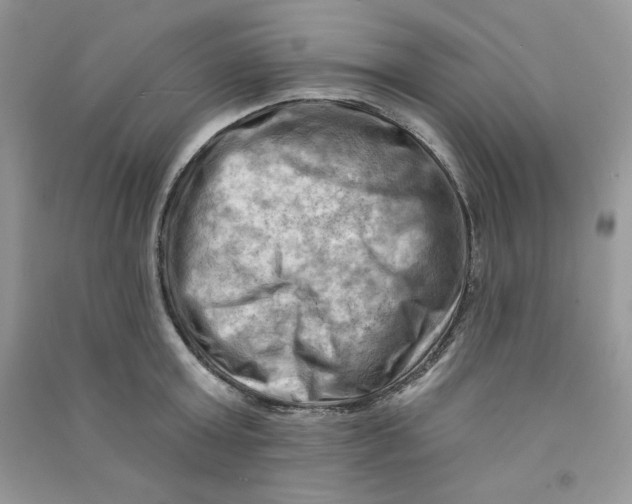 X0000090630803200708141433