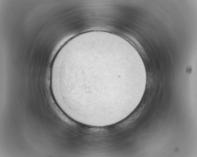 X0000090630804200708141433