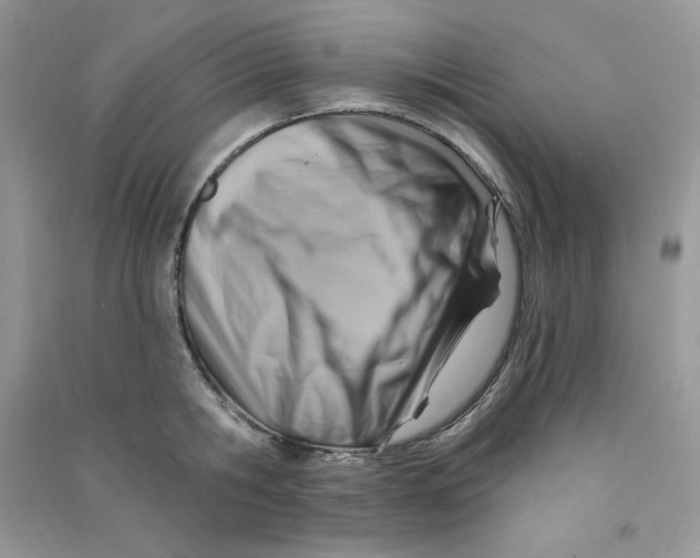 X0000090630806200708141433