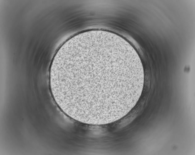 X0000090630807200708141433