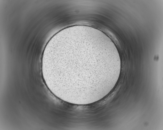 X0000090630808200708141433