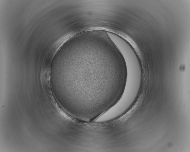 X0000090630809200708141433