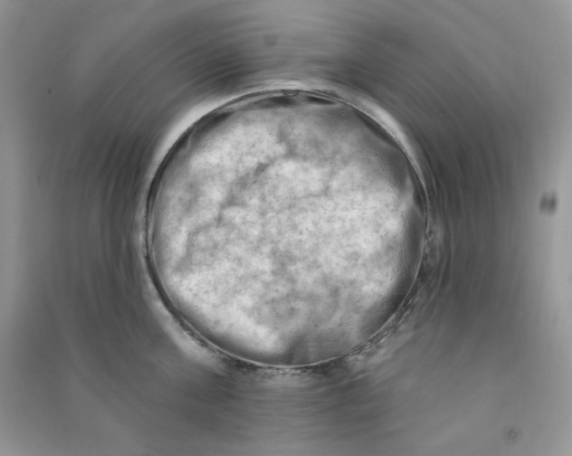 X0000090630811200708141433
