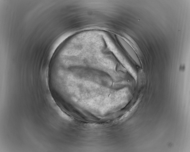 X0000090630812200708141433