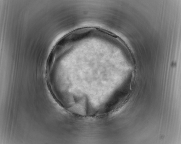 X0000090630815200708141433