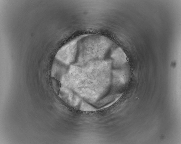 X0000090630817200708141432