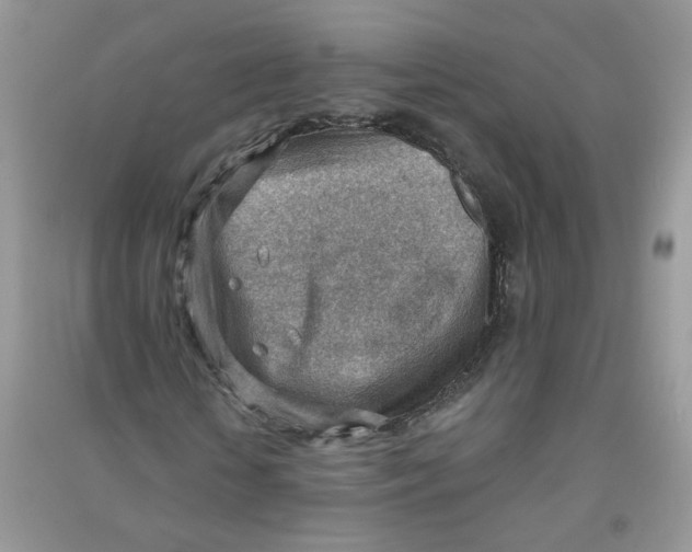 X0000090630818200708141432