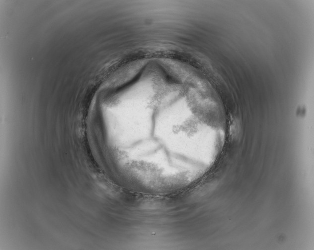 X0000090630819200708141432