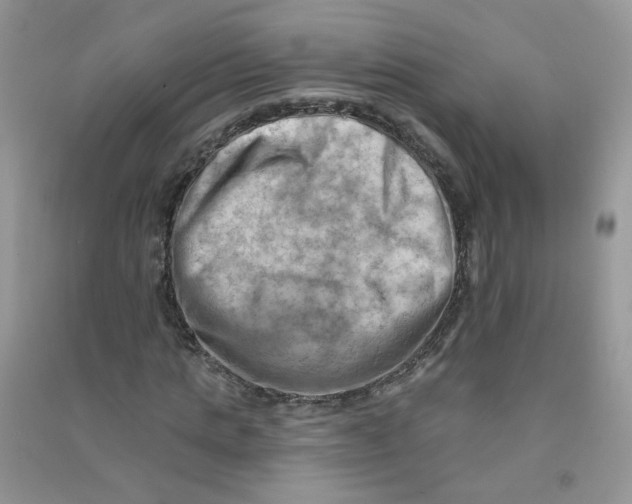 X0000090630821200708141432