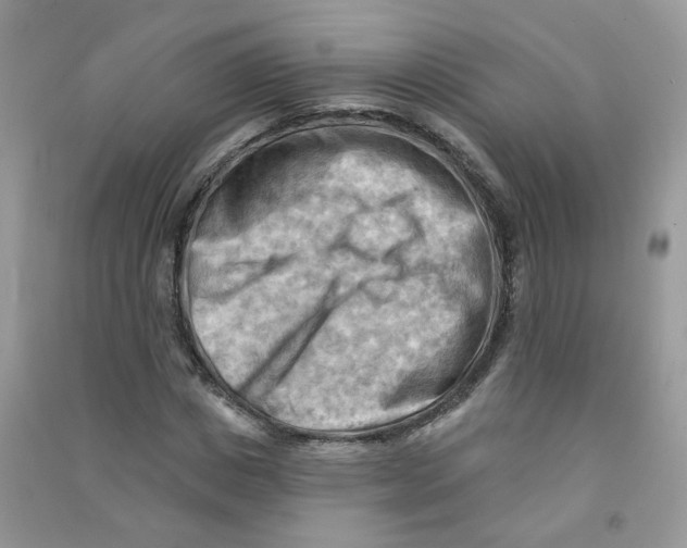 X0000090630825200708141432