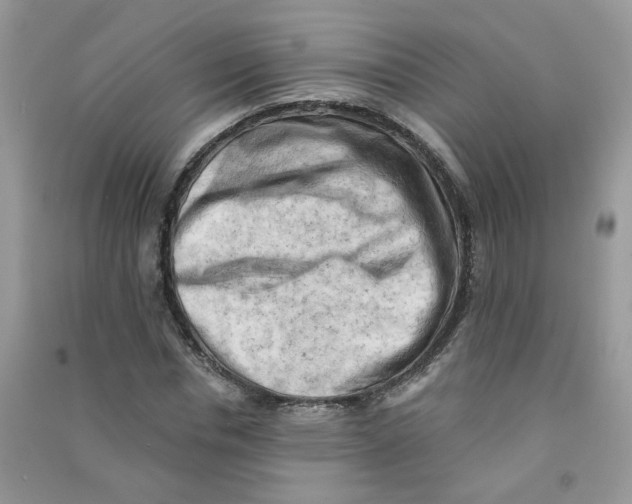 X0000090630826200708141432