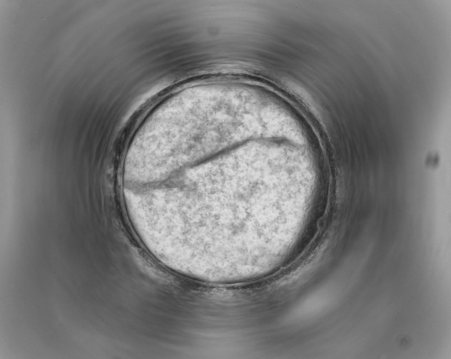 X0000090630827200708141432