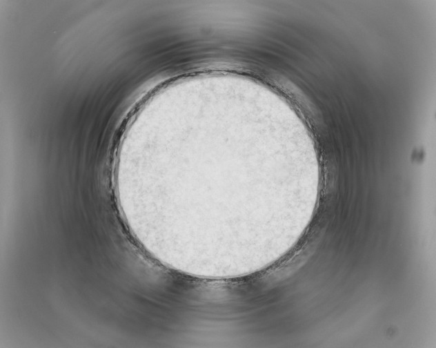 X0000090630828200708141432