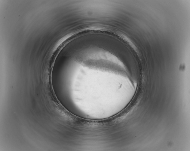 X0000090630829200708141432