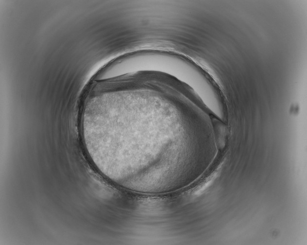 X0000090630830200708141432
