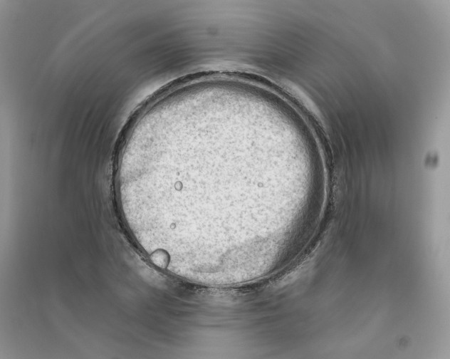X0000090630831200708141432