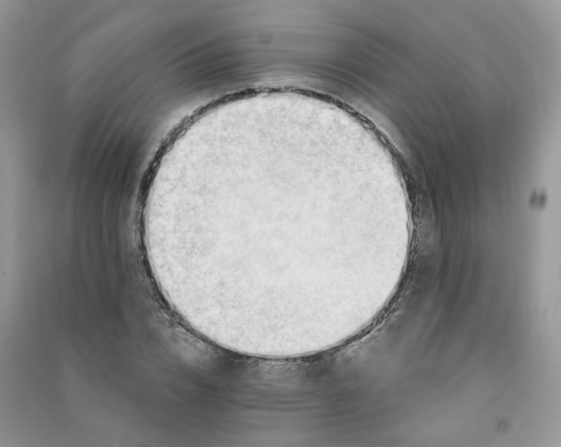 X0000090630832200708141432