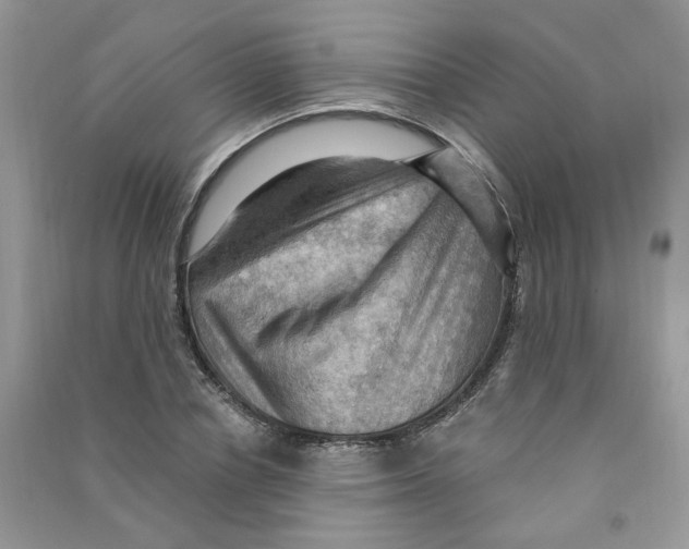 X0000090630834200708141432
