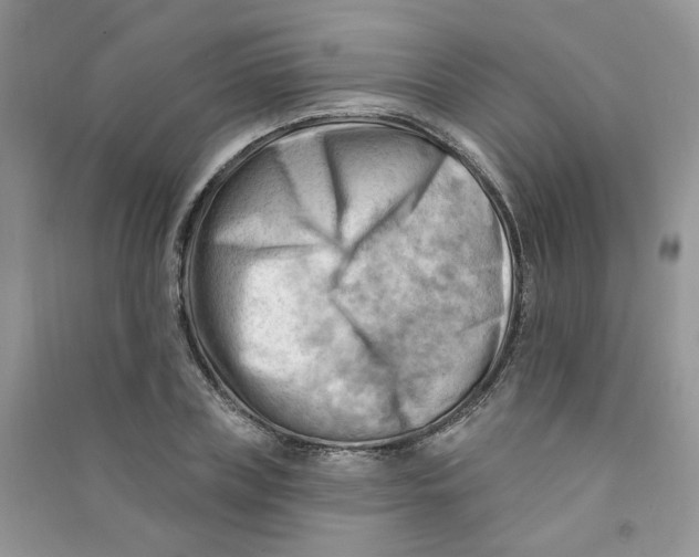 X0000090630835200708141432