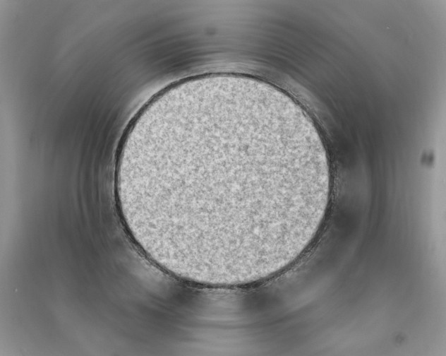 X0000090630836200708141432