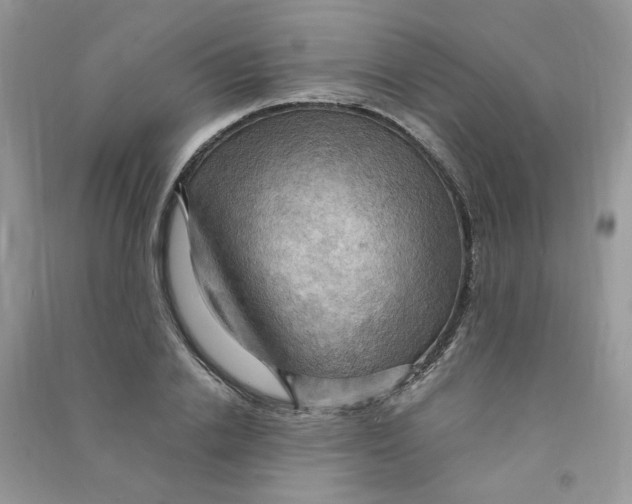 X0000090630838200708141432