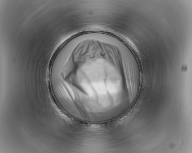 X0000090630839200708141432