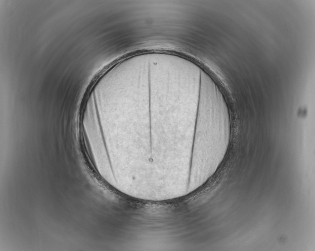 X0000090630840200708141432