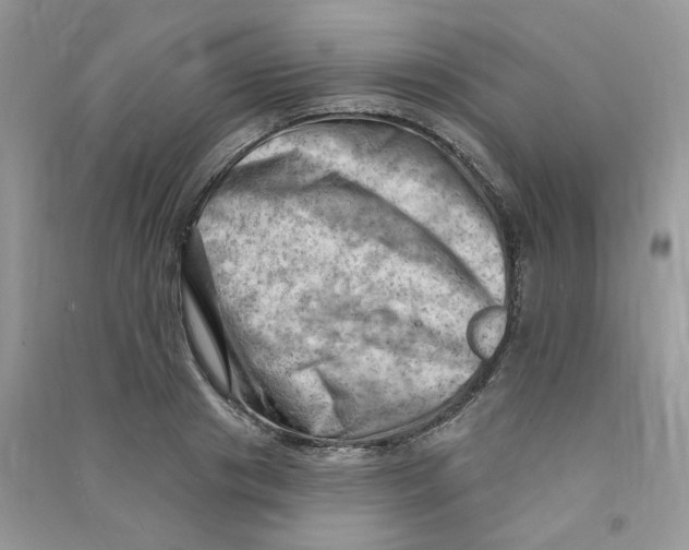 X0000090630841200708141432