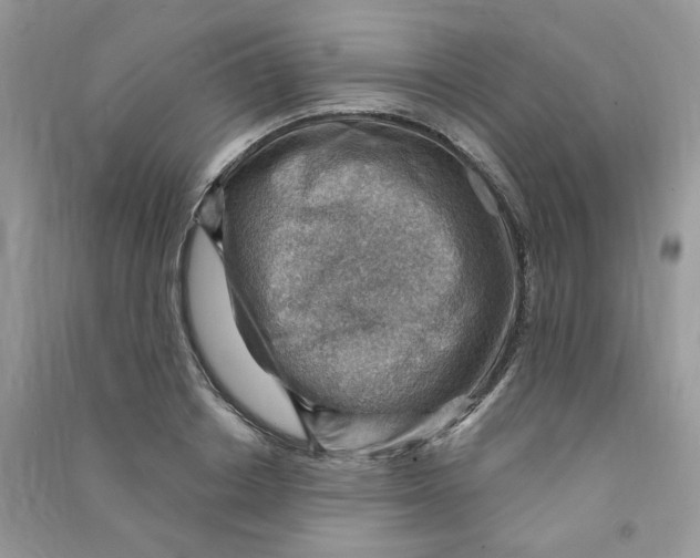 X0000090630842200708141432