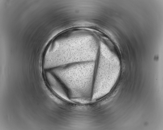 X0000090630843200708141432