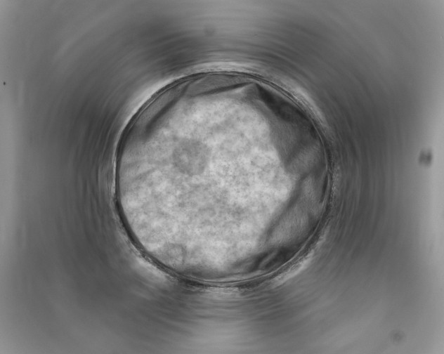 X0000090630844200708141432
