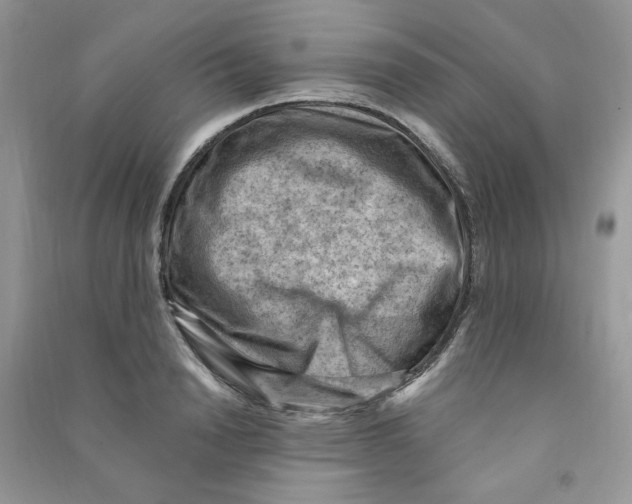 X0000090630846200708141433