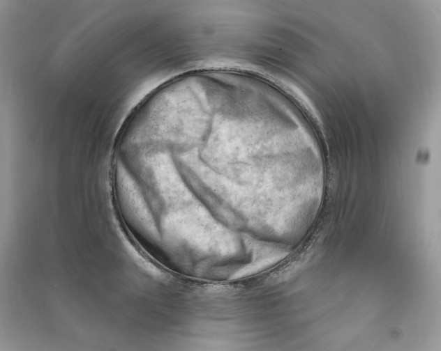 X0000090630847200708141433