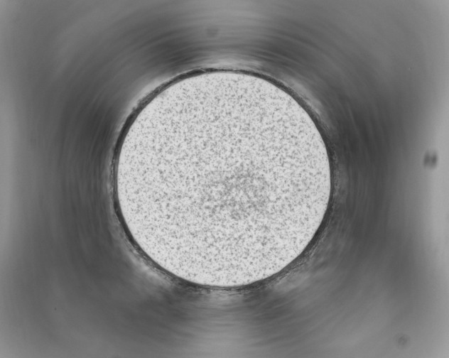 X0000090630848200708141433