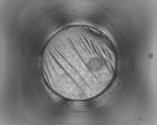 X0000090630849200708141433